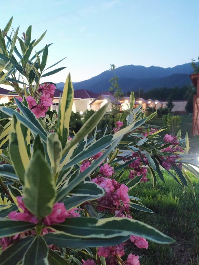 Bliss Inn Boutique Hotel Габала Екстериор снимка