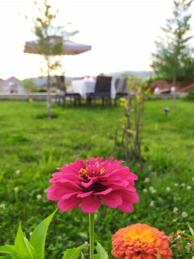 Bliss Inn Boutique Hotel Габала Екстериор снимка
